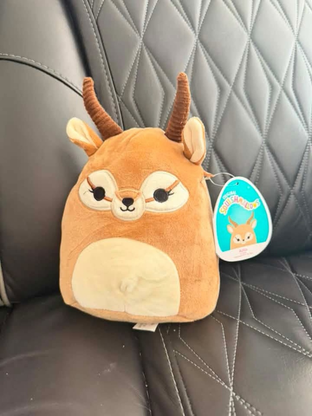 NWT Squishmallow